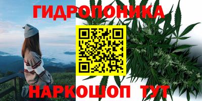 ПСИЛОЦИБИНОВЫЕ ГРИБЫ Боровичи
