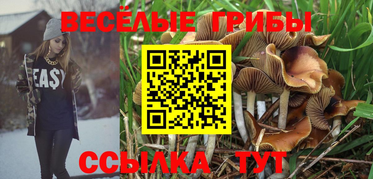 Галлюциногенные грибы Magic Shrooms  цена наркотик  Алексин  Вход с VPN 